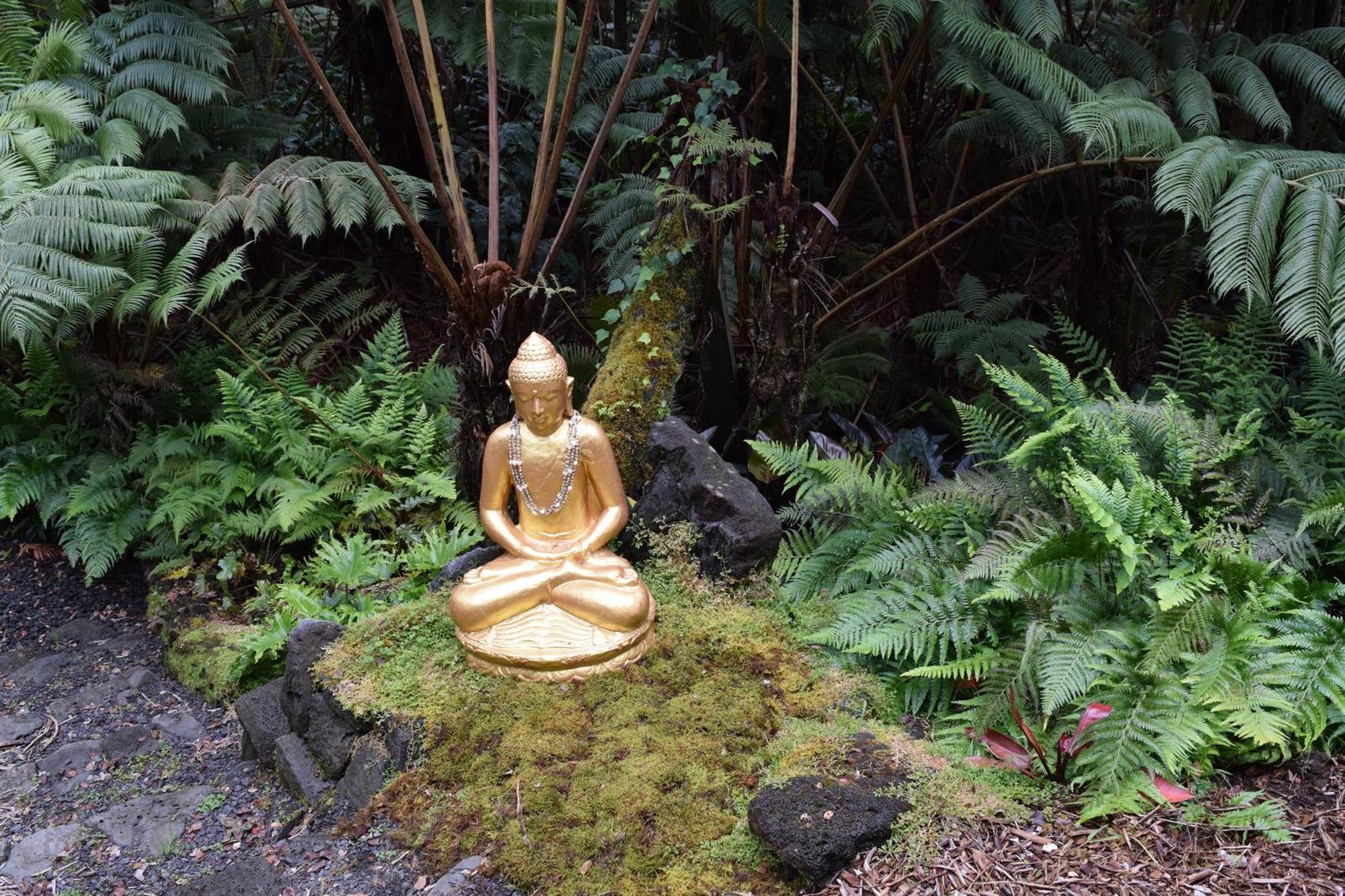 Hale Ho'Okipa Villa Volcano Exterior photo